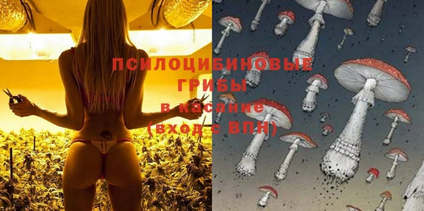 spice Белоозёрский