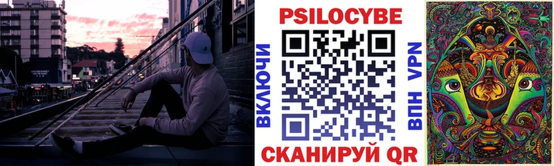 где купить   Верхняя Салда  Псилоцибиновые грибы мухоморы 