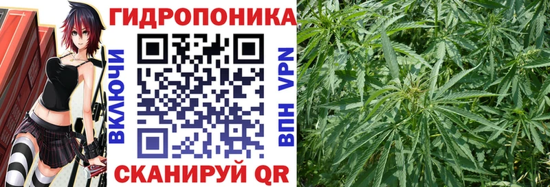 Бошки Шишки гибрид  Верхняя Салда 